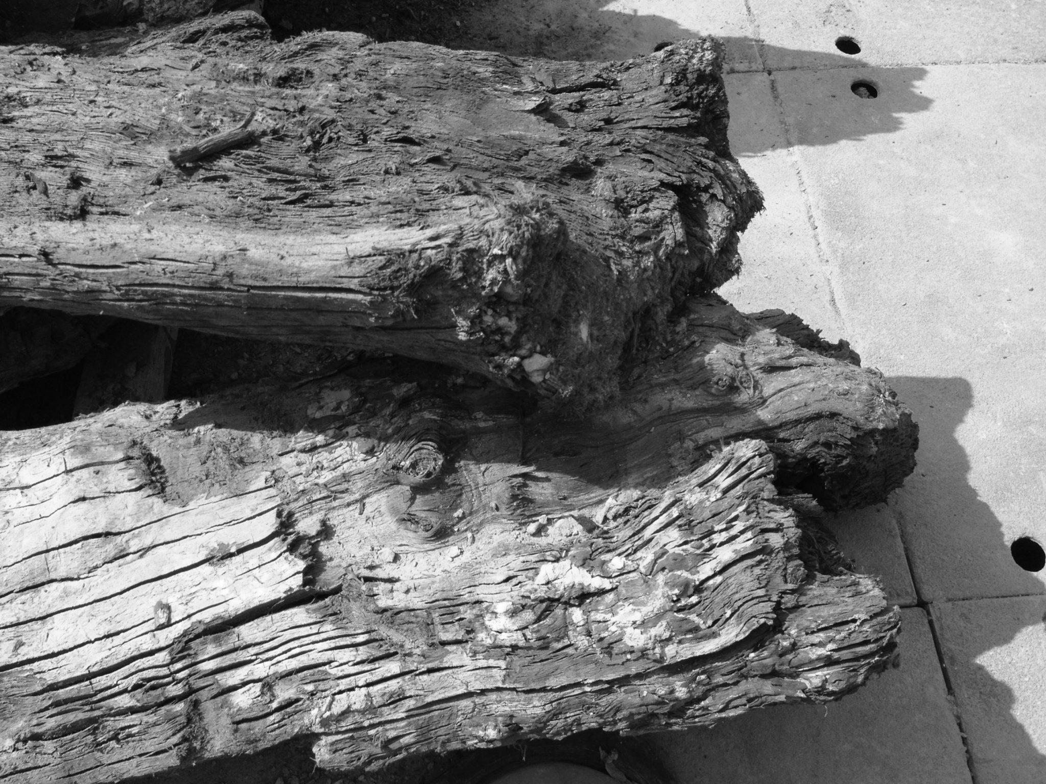 場所と存在 – 器の構造