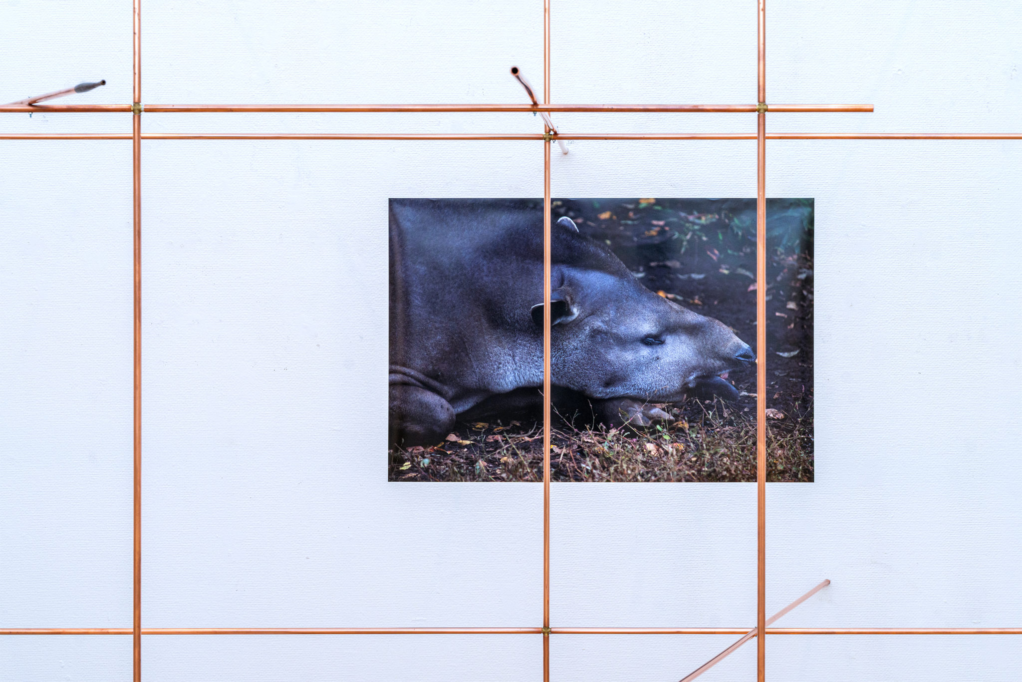 〈共に在ること〉を前提とした〈関係としての場所〉