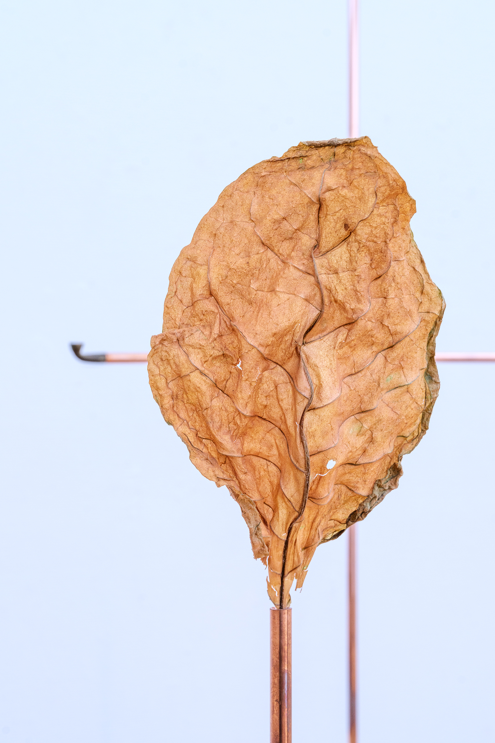 〈共に在ること〉を前提とした〈関係としての場所〉