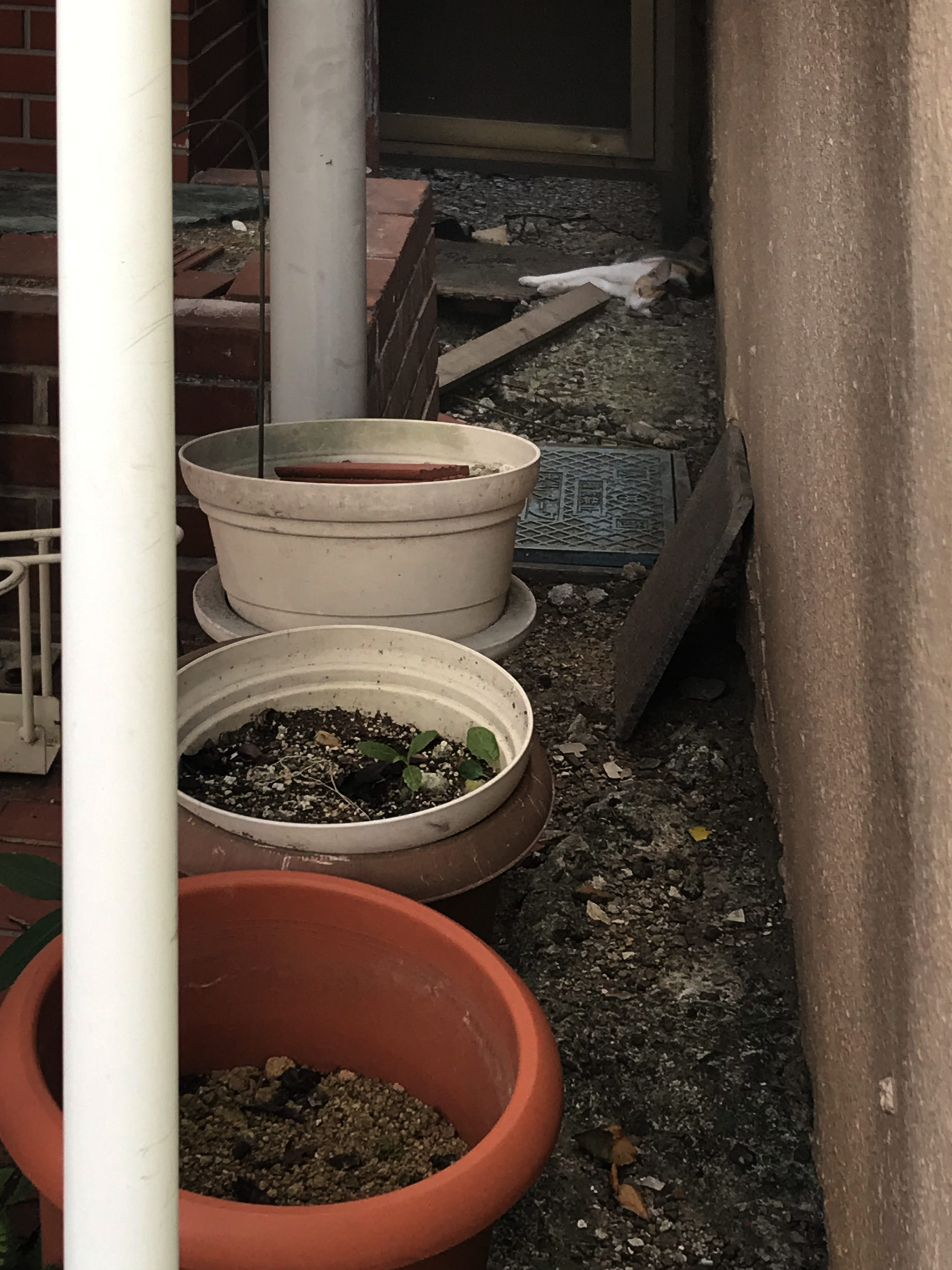 場所と存在 – 器の構造