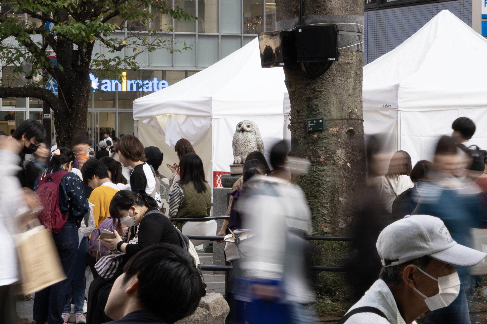 場所と存在 – 器の構造